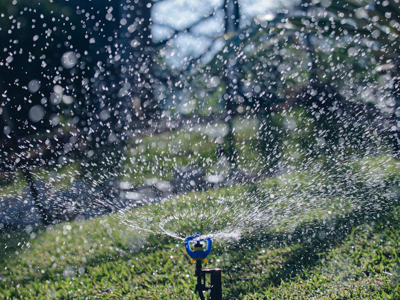 Sprinkler arc covering a backyard zone after a controller tune-up — even coverage, no dry corners.